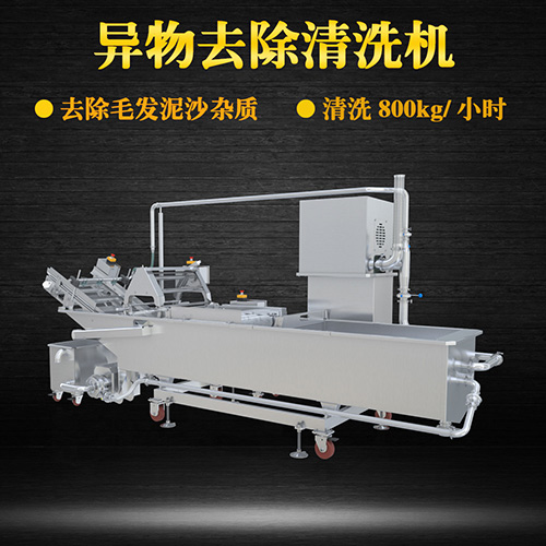 果蔬氣泡翻洗機，有效清洗，過濾泥沙