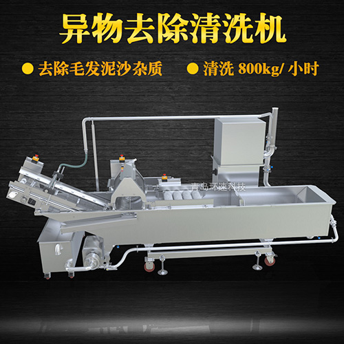 蔬菜清洗機，氣泡清洗，清洗800kg小時